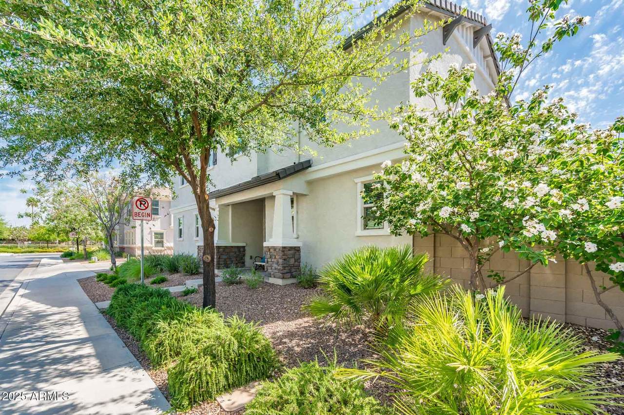 1151 Avoca - Photo 1
