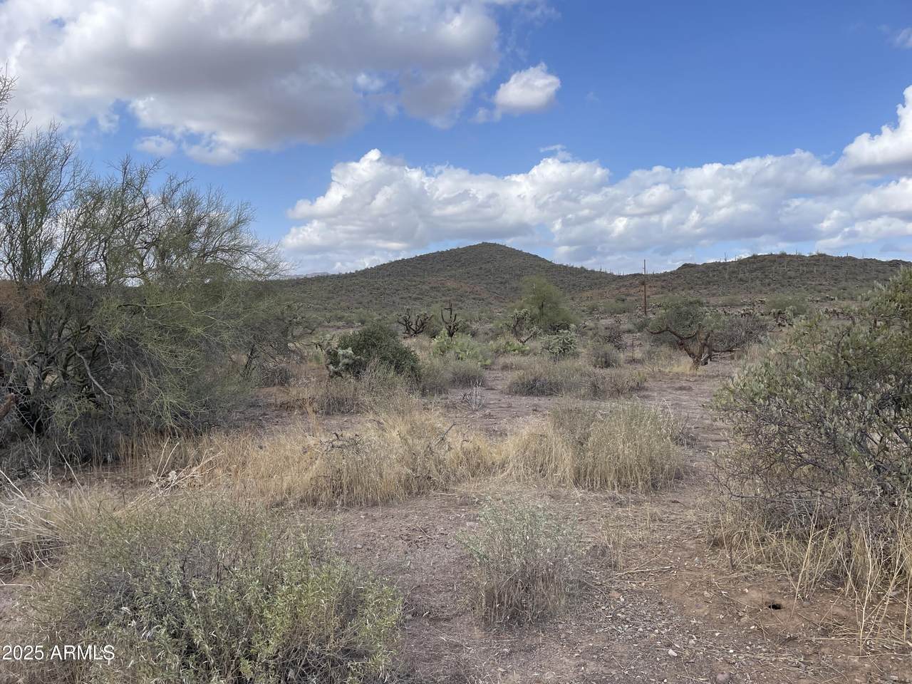 0 Elephant Butte Road - Photo 1