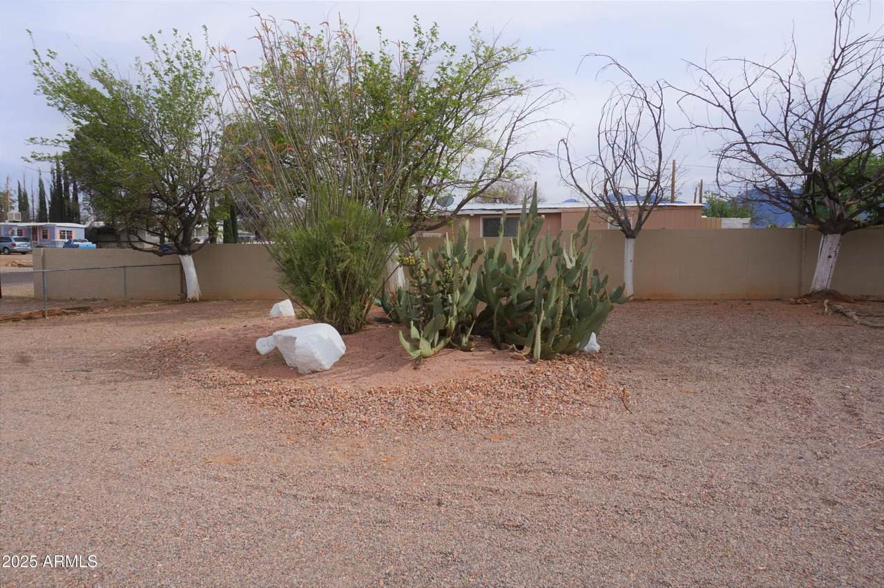 216 Canyon Drive - Photo 1