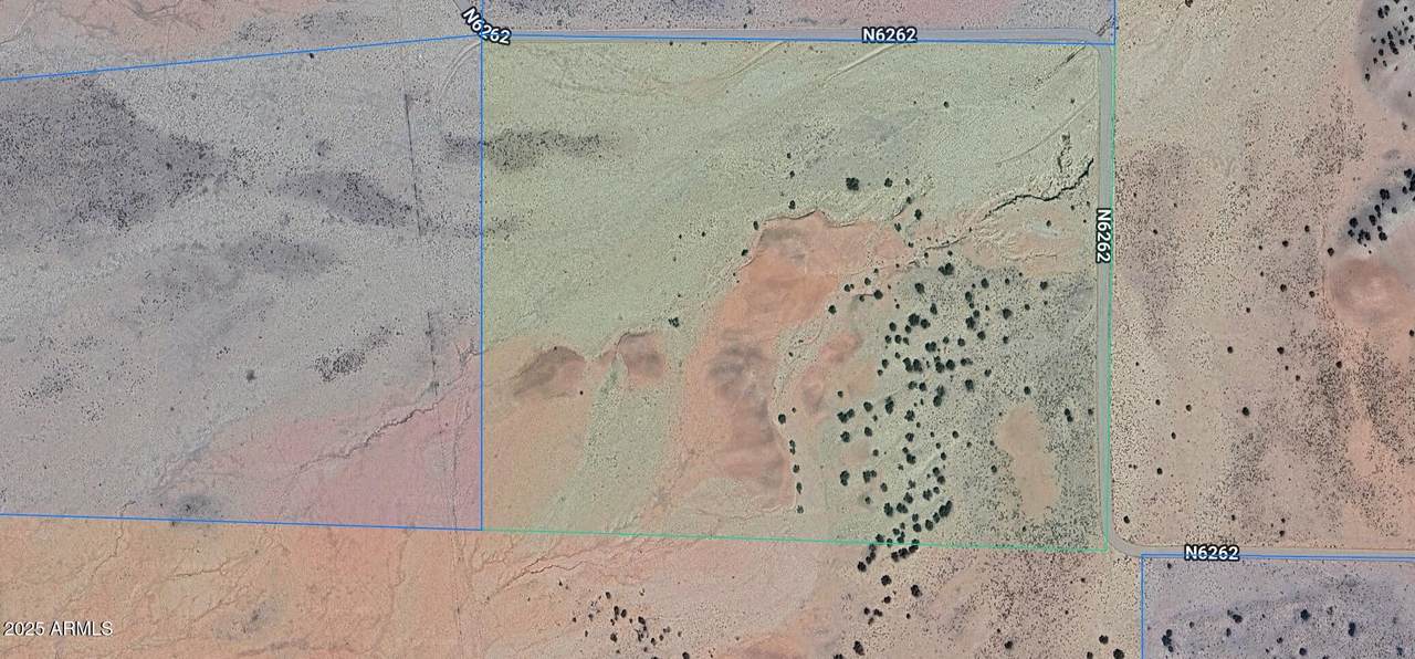 TBD 39 Acres Woodland Valley Ranch - Photo 1