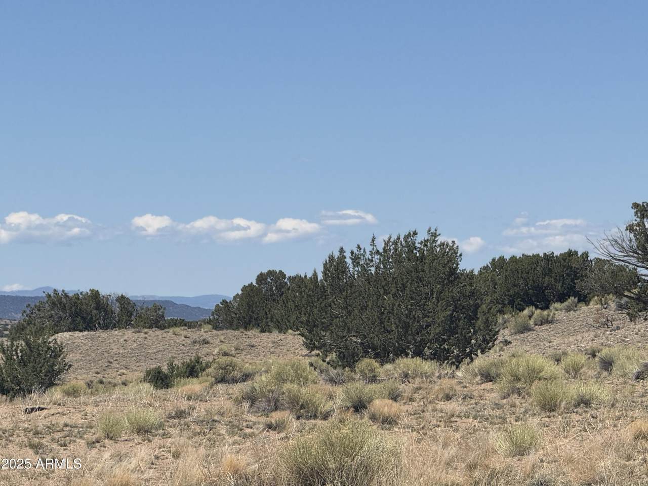 Lot 752 Woodland Valley Ranch - Photo 1