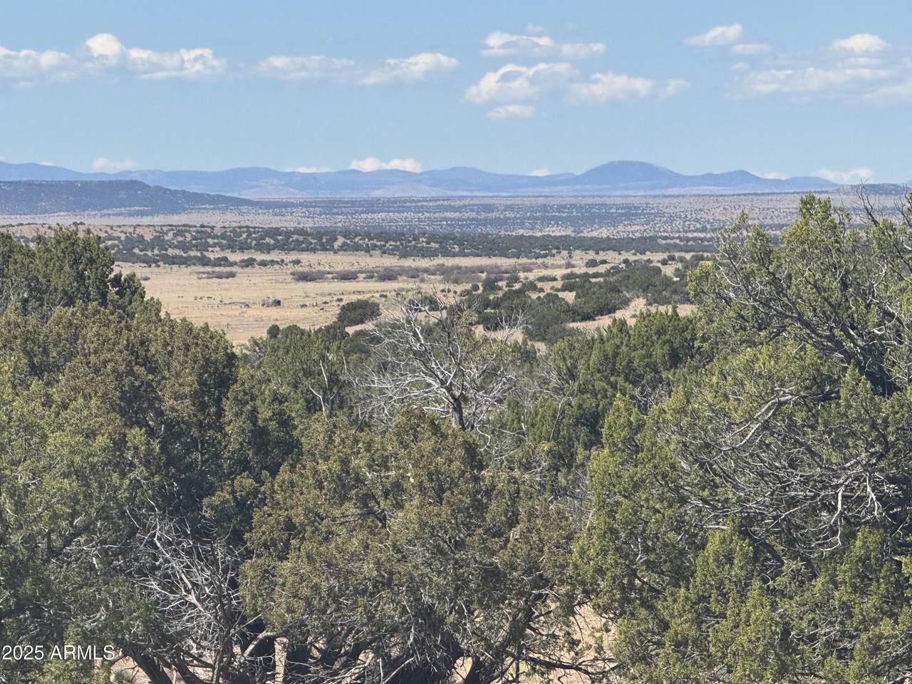 Lot 753 Woodland Valley Ranch - Photo 1