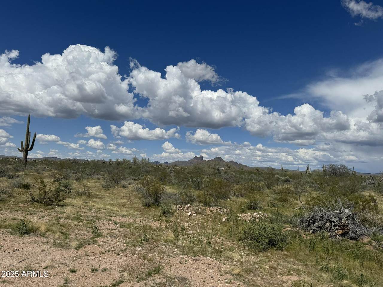 33098 Galvin Street - Photo 1