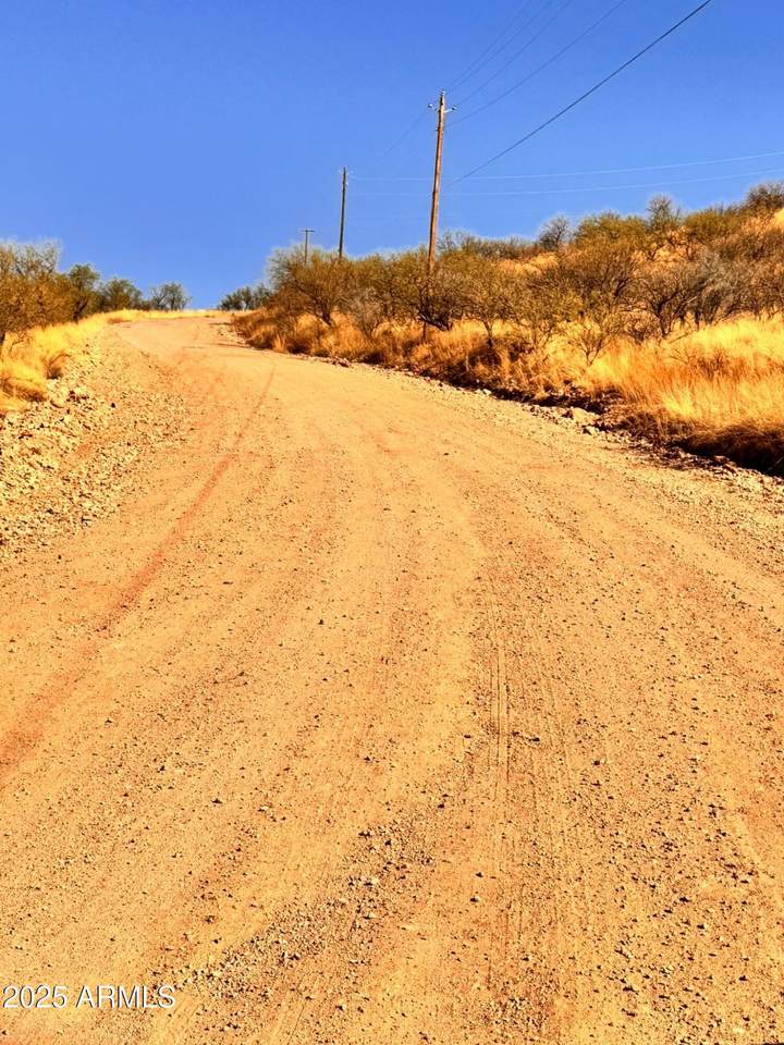 773 Avenida Beatriz - Photo 1