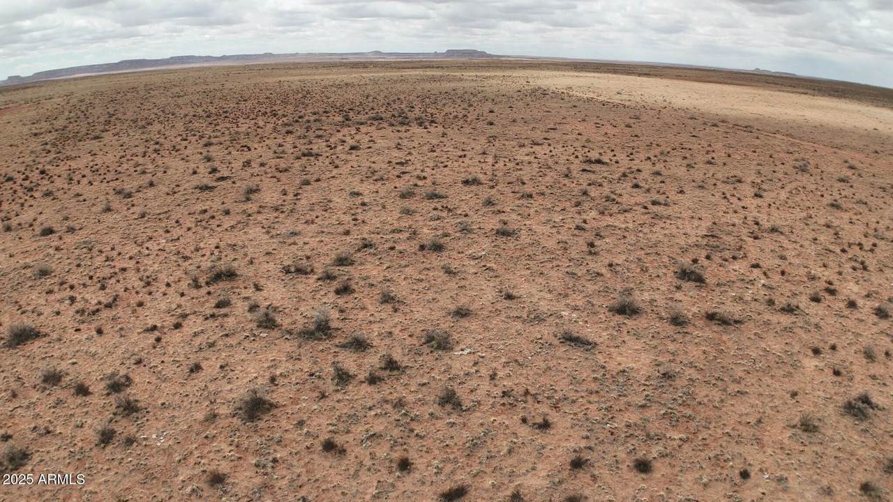 9850 Cattleman Road - Photo 1