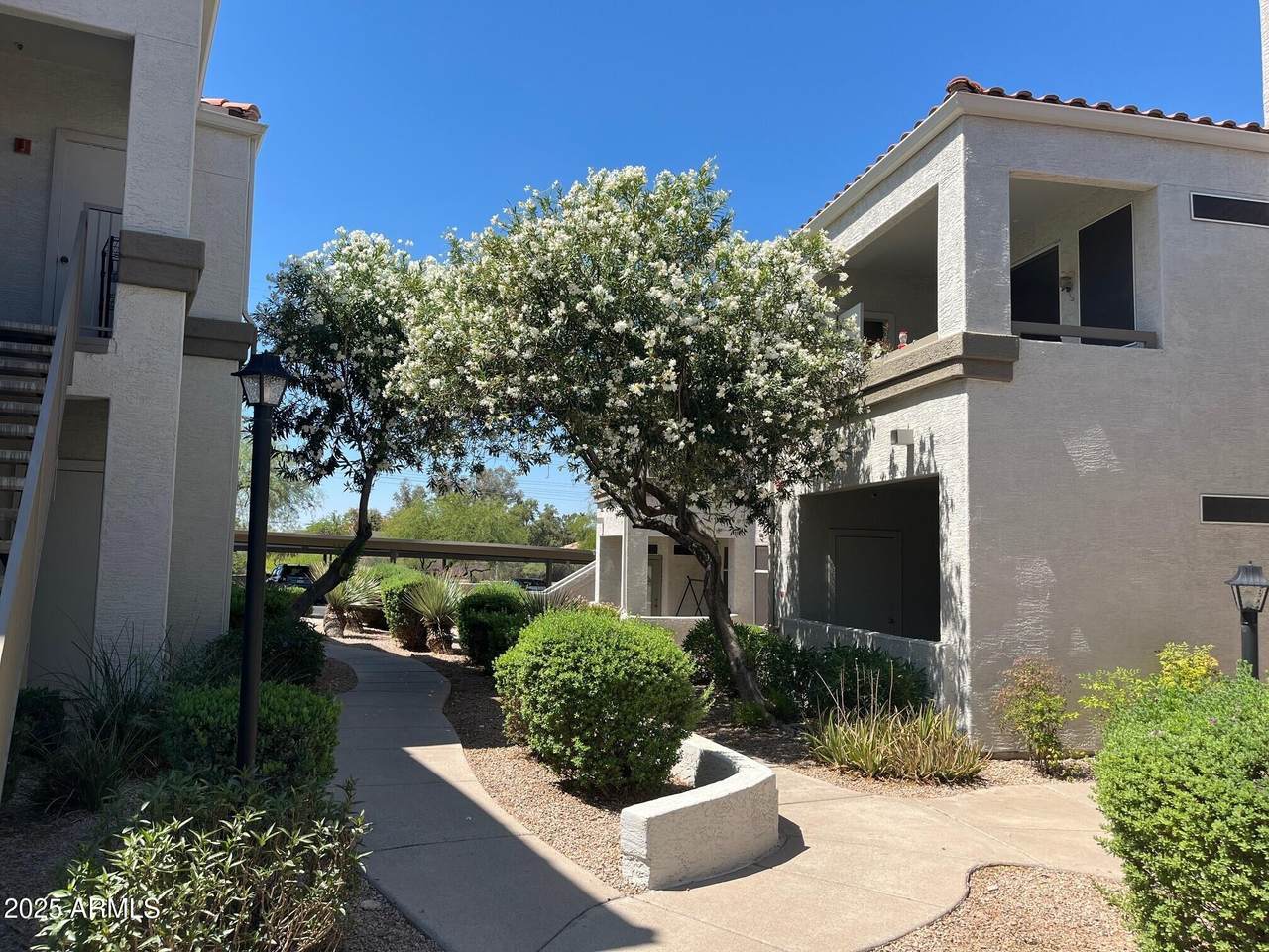 11375 Sahuaro Drive - Photo 1