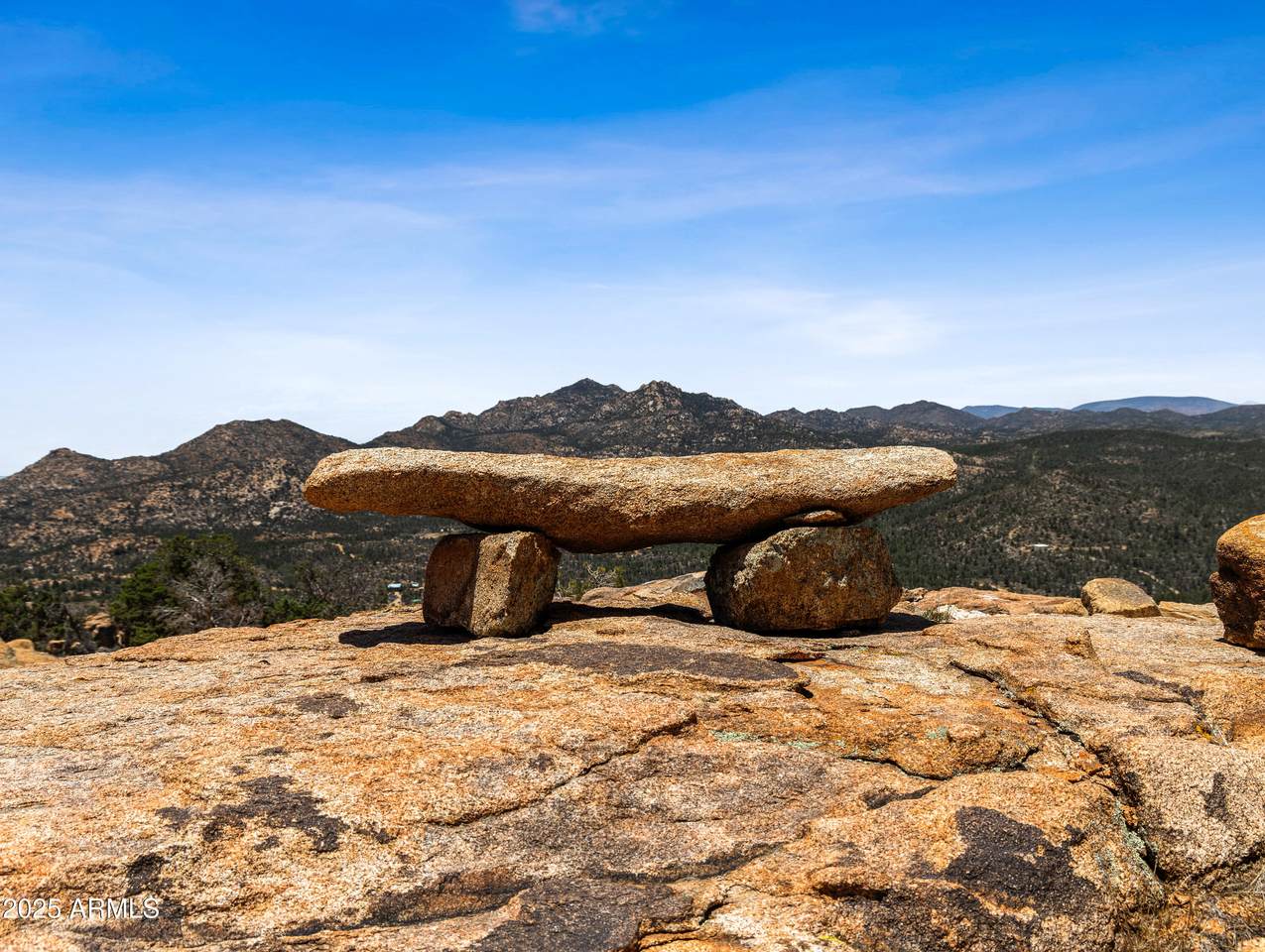 0000 Monica Mine Road - Photo 1