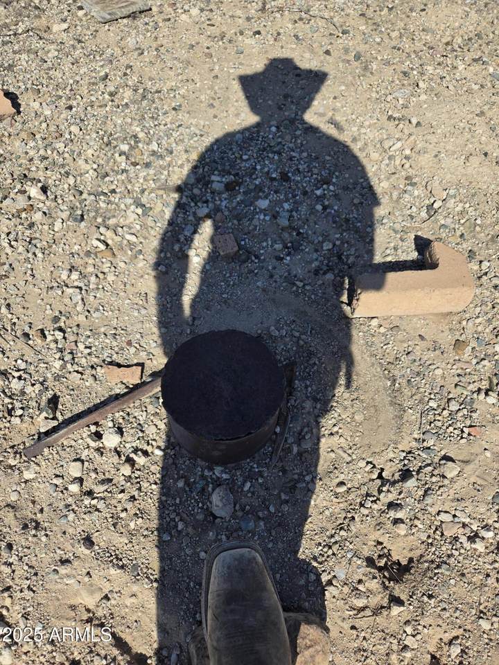 80XX 339th Avenue - Photo 1