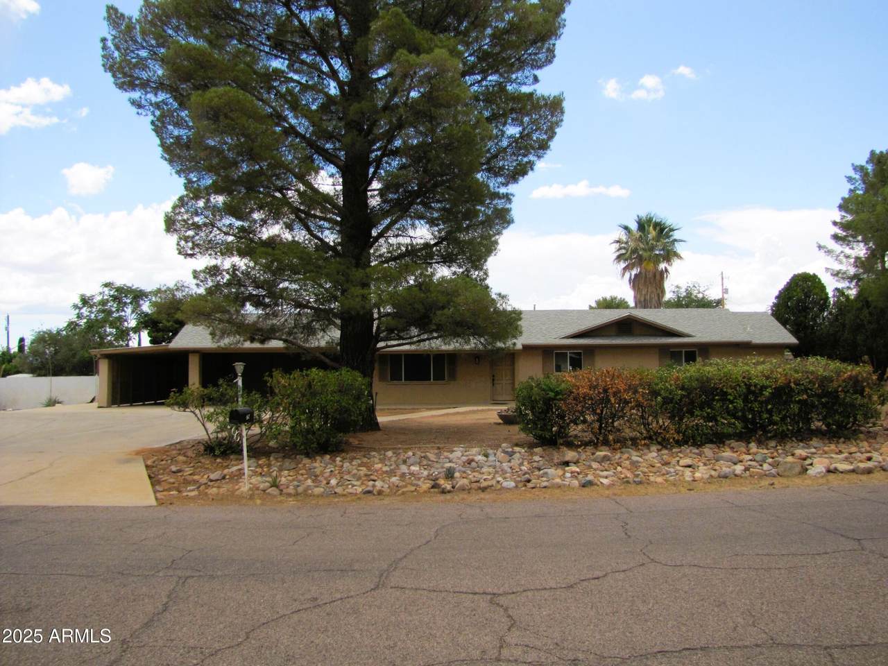 947 Cardinal Avenue - Photo 1