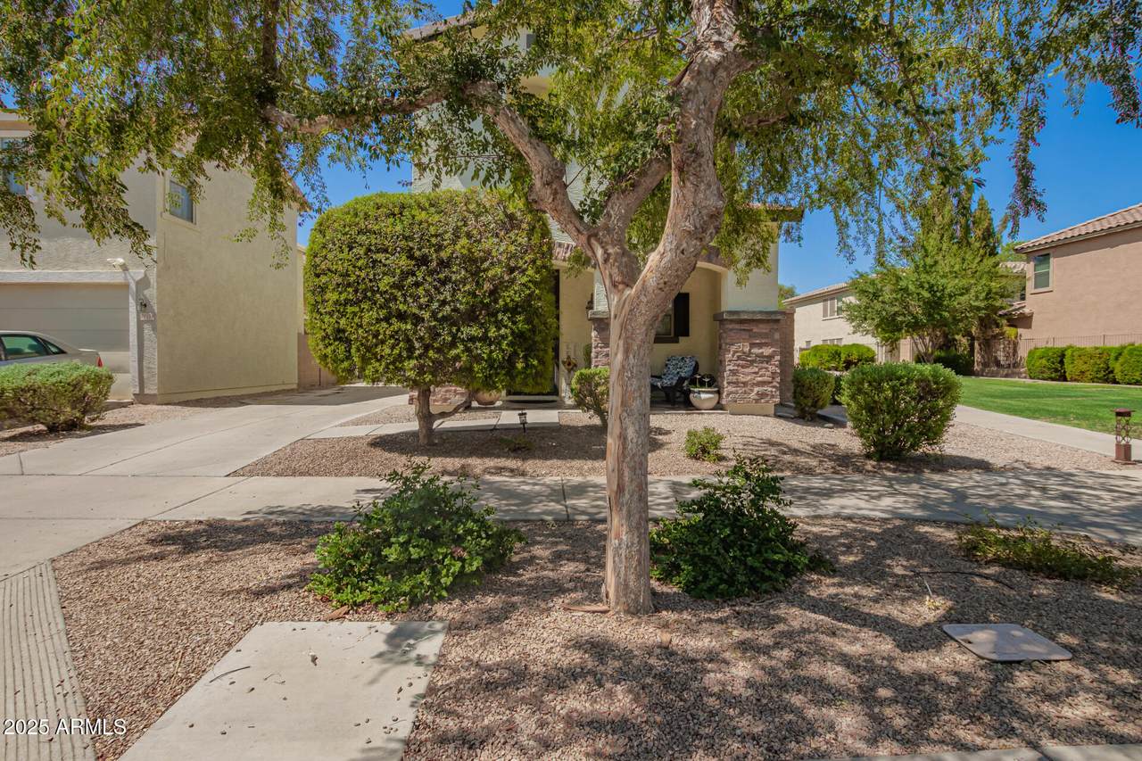 21128 Munoz Drive - Photo 1