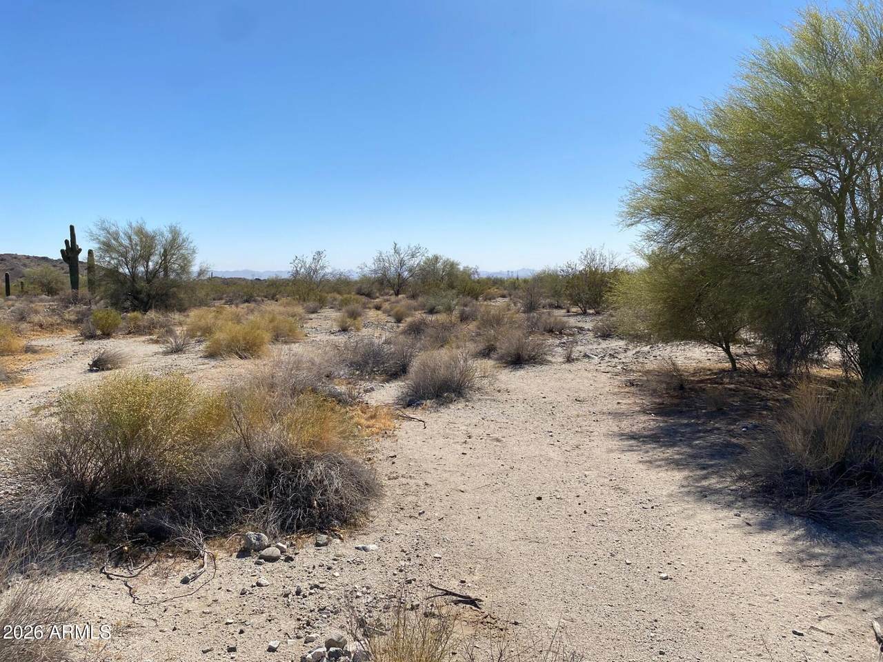 268XX Campbell Avenue - Photo 1