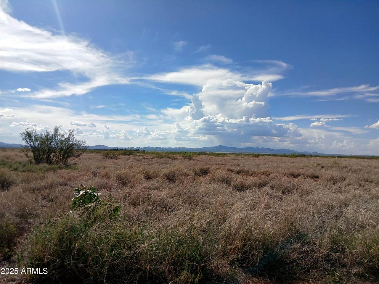 TBD Ee Ranch Road - Photo 1