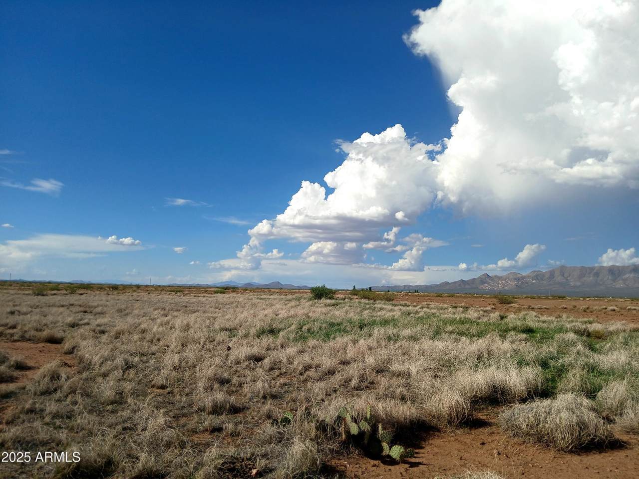 TBD Ee Ranch Road - Photo 1