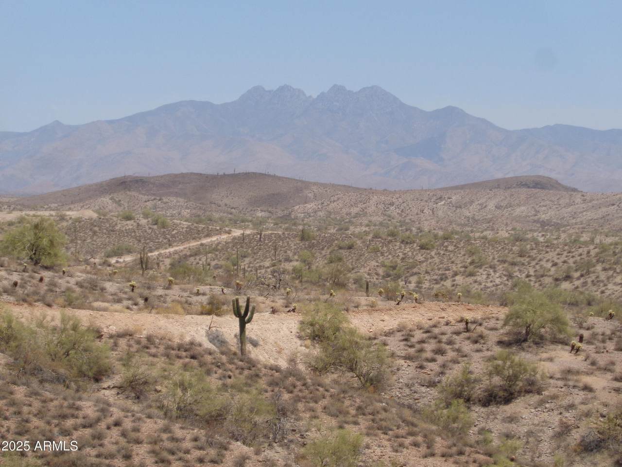 12906 Goldfield Road - Photo 1