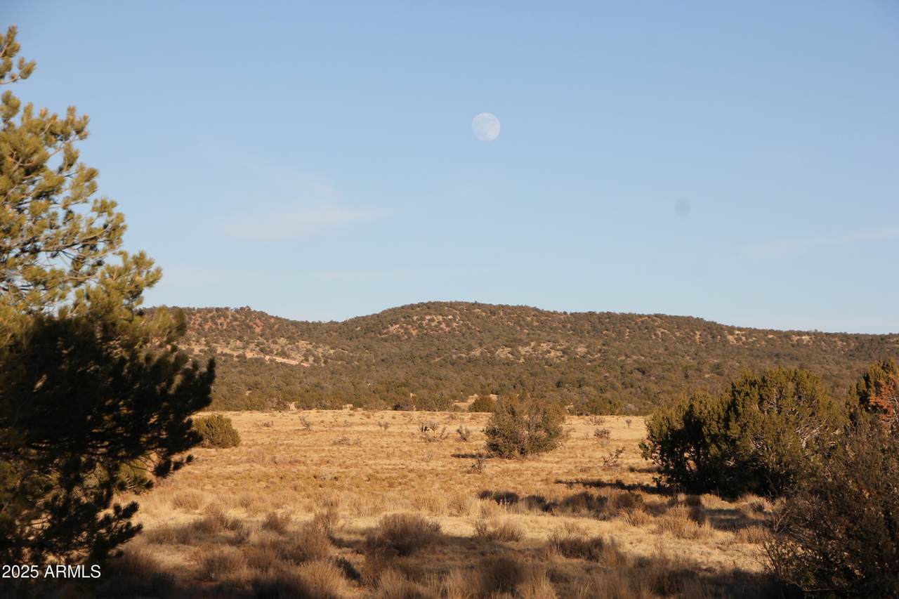 Wrangler Wrangler Ridge Rd Road - Photo 1