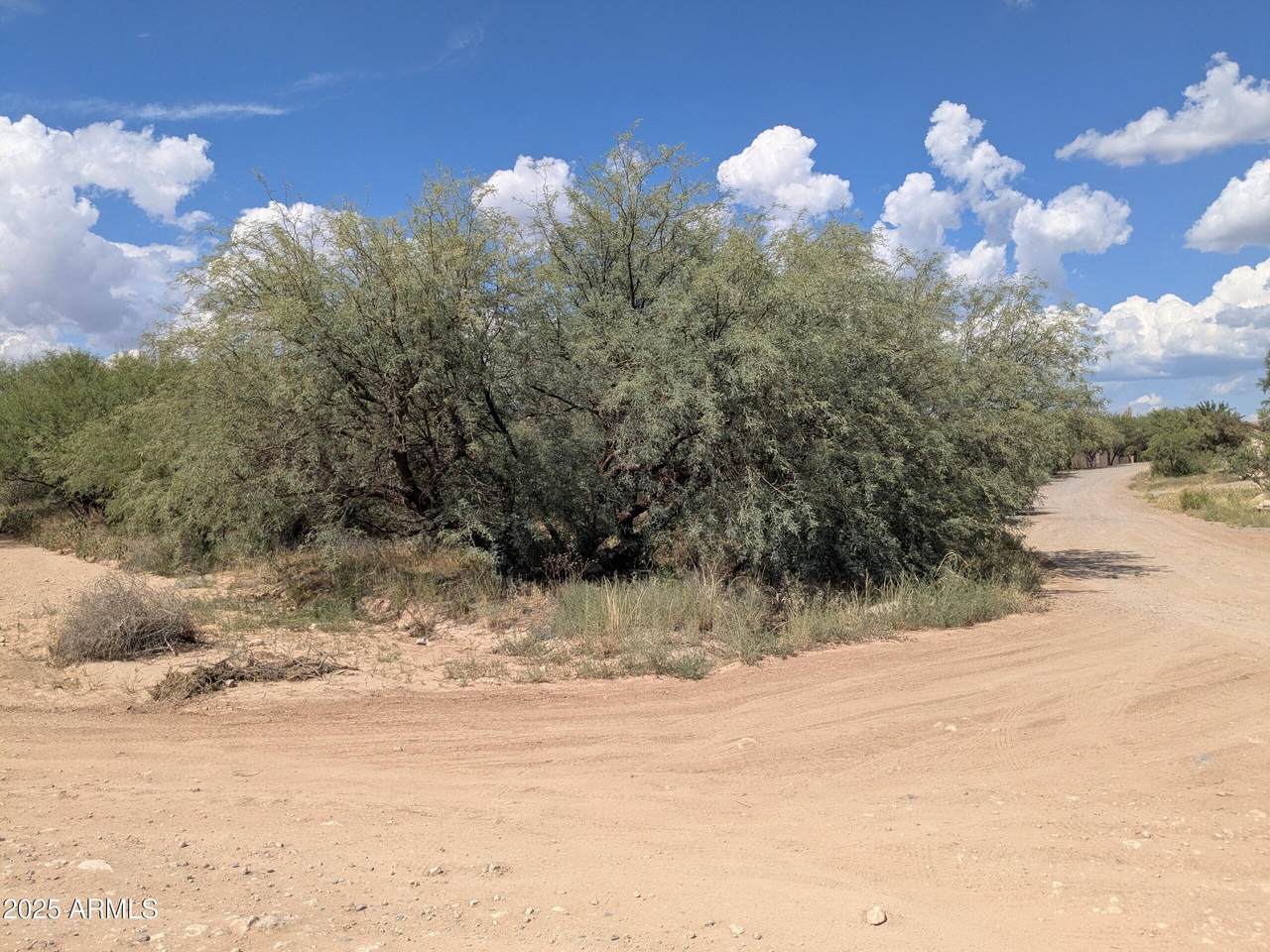 5540 Debbie Lane - Photo 1