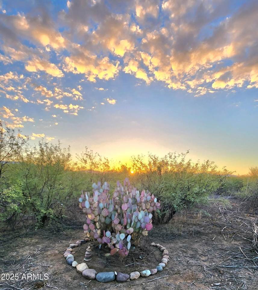 13122 Dusty Flat Place - Photo 1