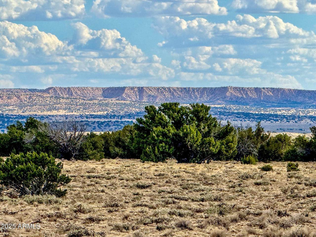 TBD Sanders 255 Acres - Photo 1