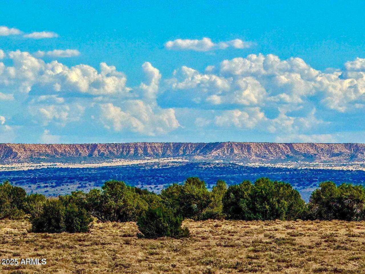 TBD Sanders 127.5 Acres Lot B - Photo 1