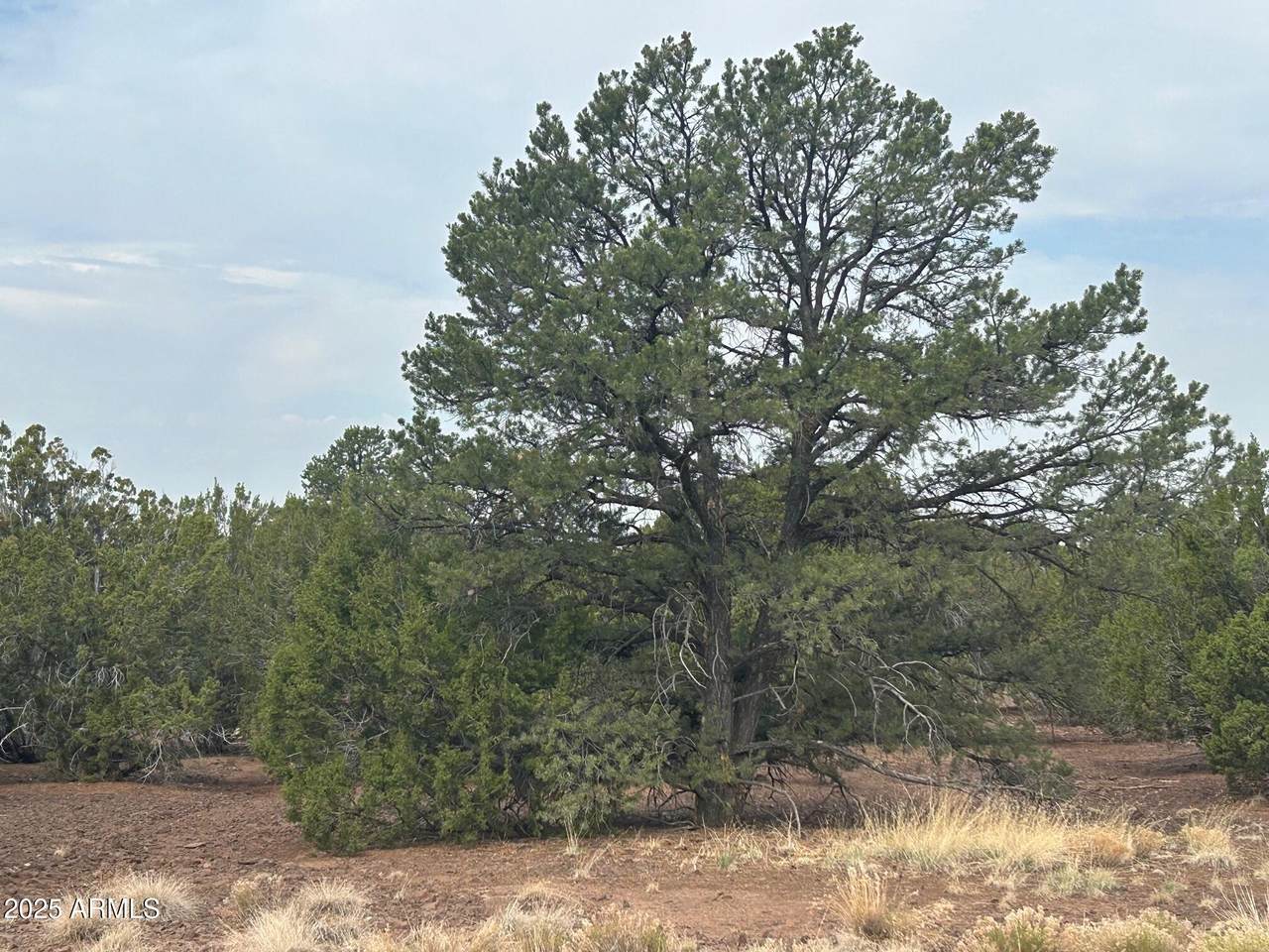 lot 2 Stanford Drive - Photo 1