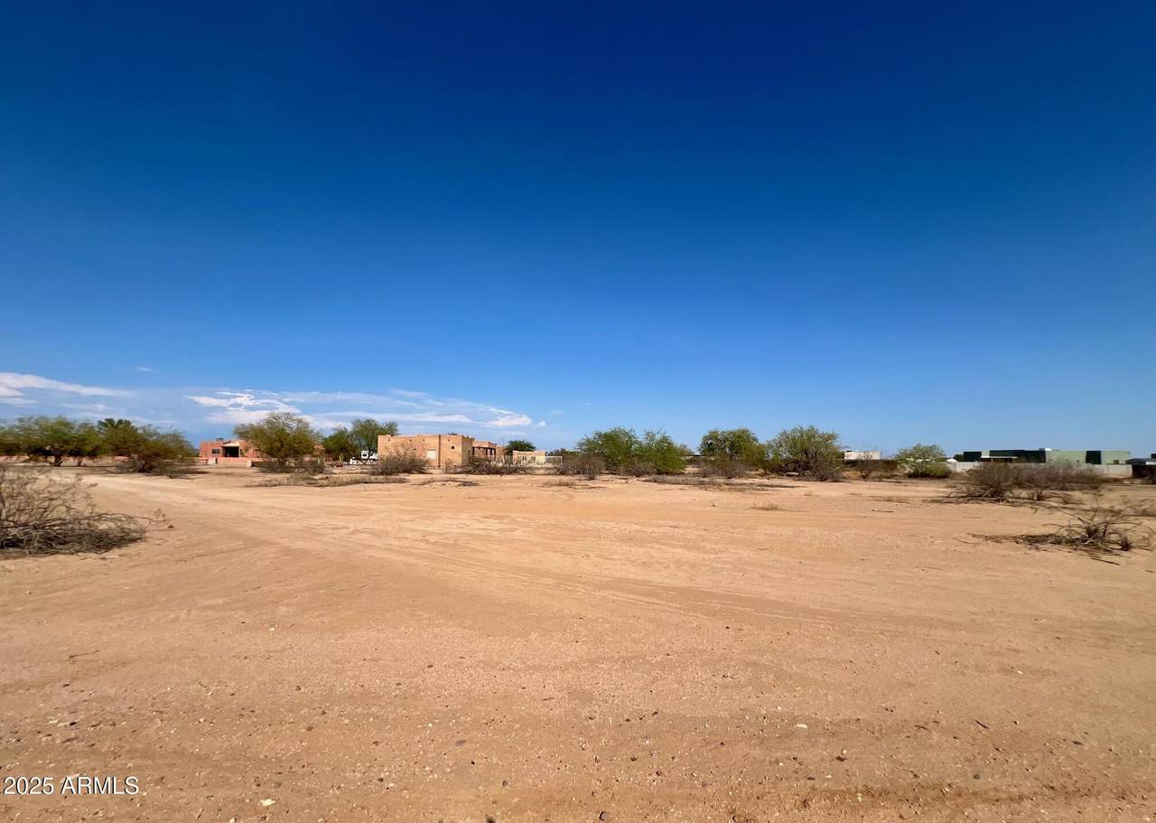 208xx Desert Mirage (503-48-063-P) Drive - Photo 1