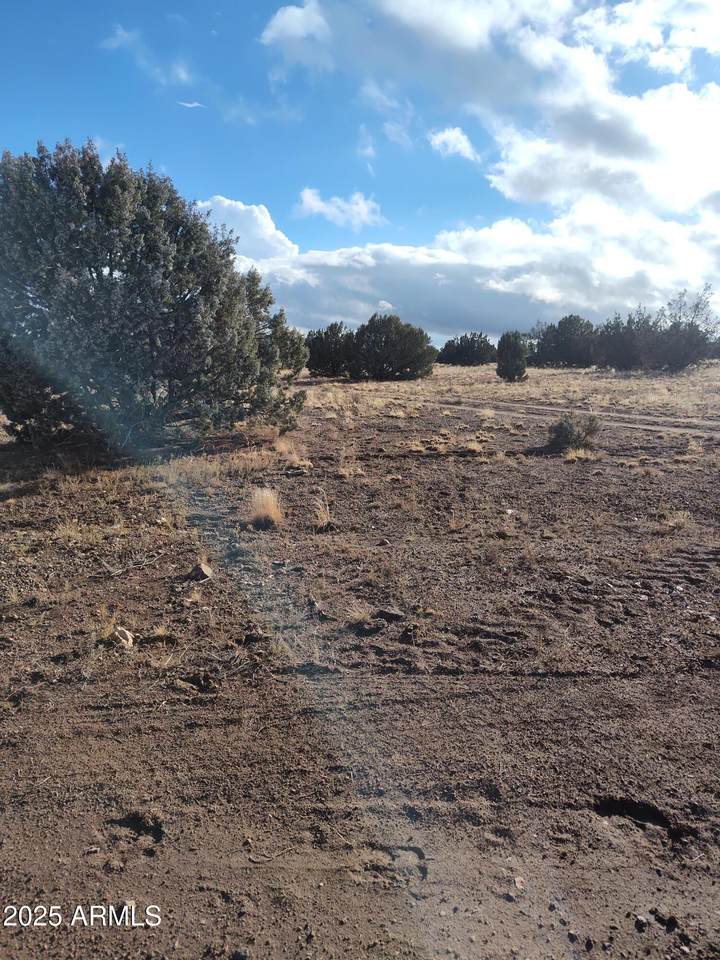 00000 Deliverace - Photo 1