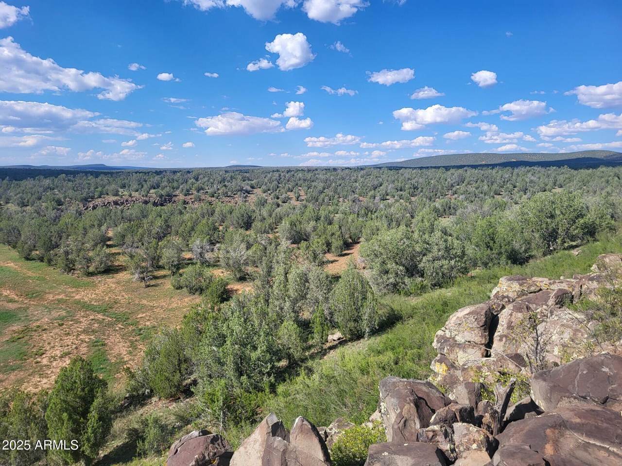 Lot 9 Terry Lane - Photo 1