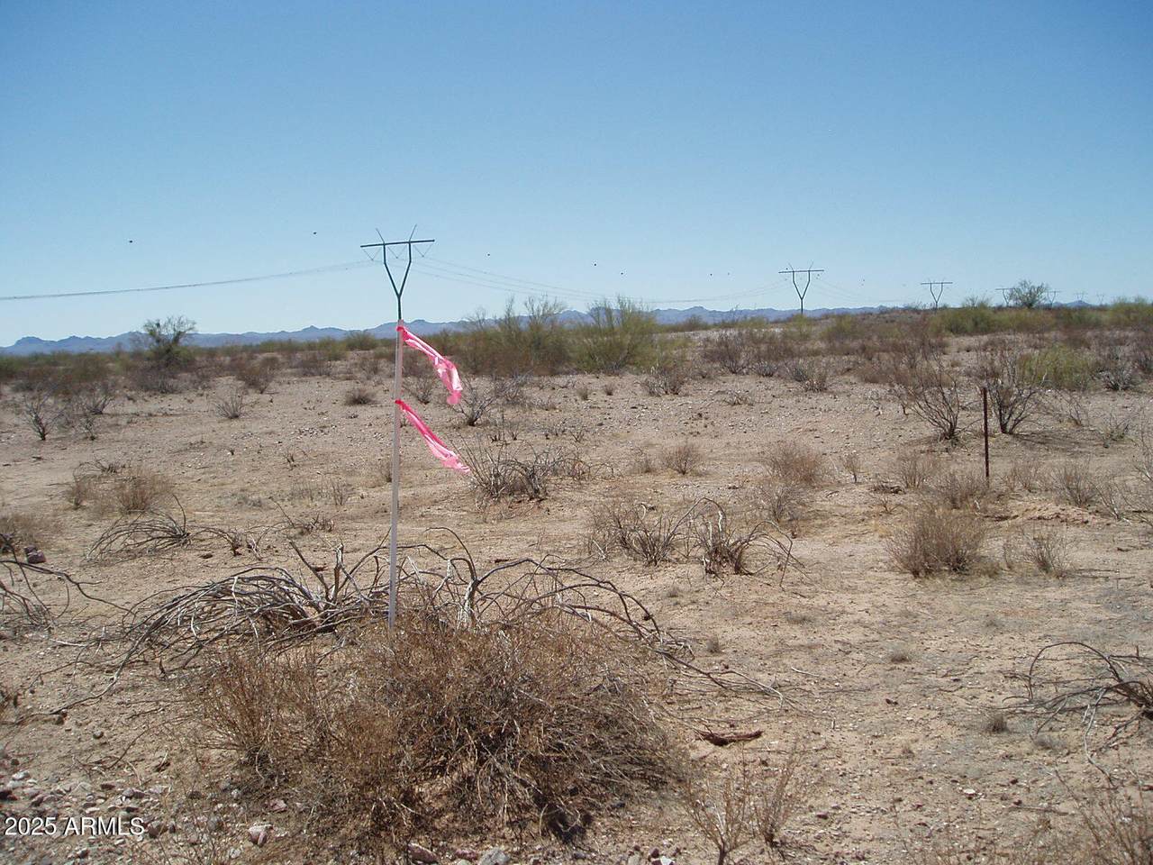 33200 347th Avenue - Photo 1