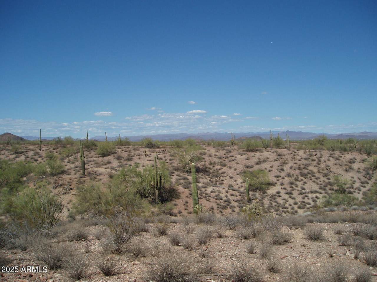 29299 Villa Cassandra Way - Photo 1