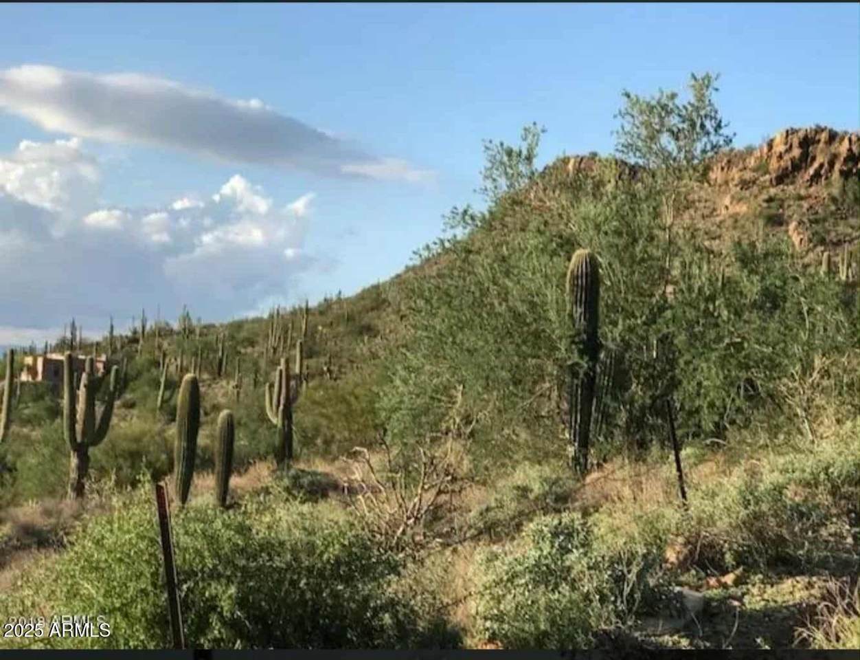 42800 8TH Street - Photo 1