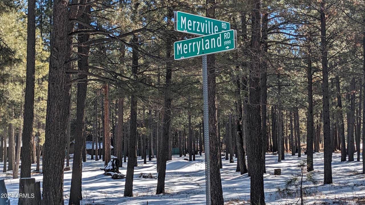 1960 Merryland Road - Photo 1