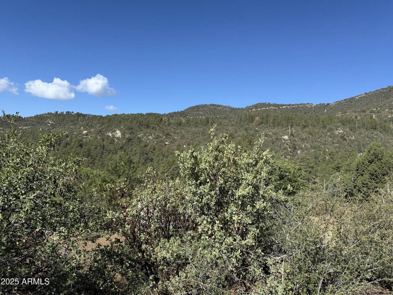 22865 Gladiator Mine Road - Photo 1