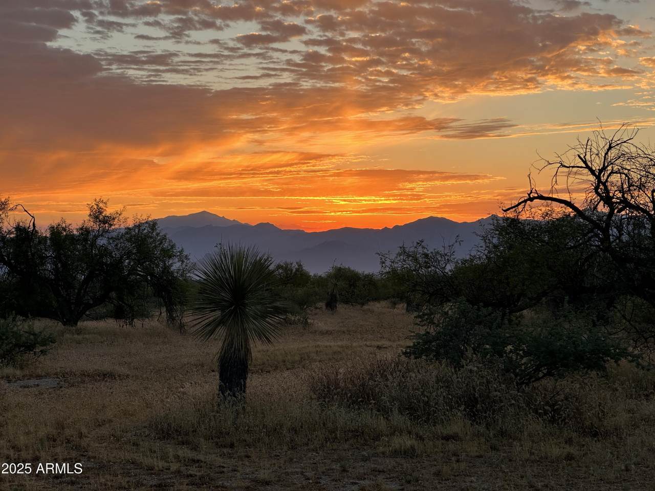 12800 Redbird Road - Photo 1