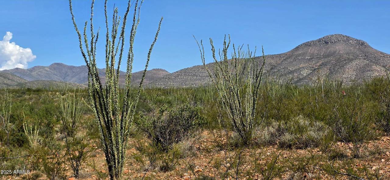 TBD Beech Craft Boulevard - Photo 1