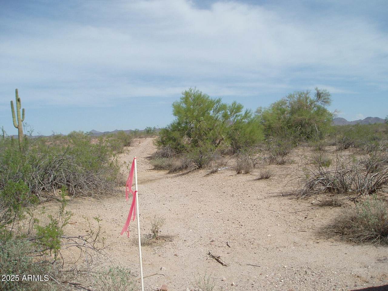 34975 Carefree Highway - Photo 1