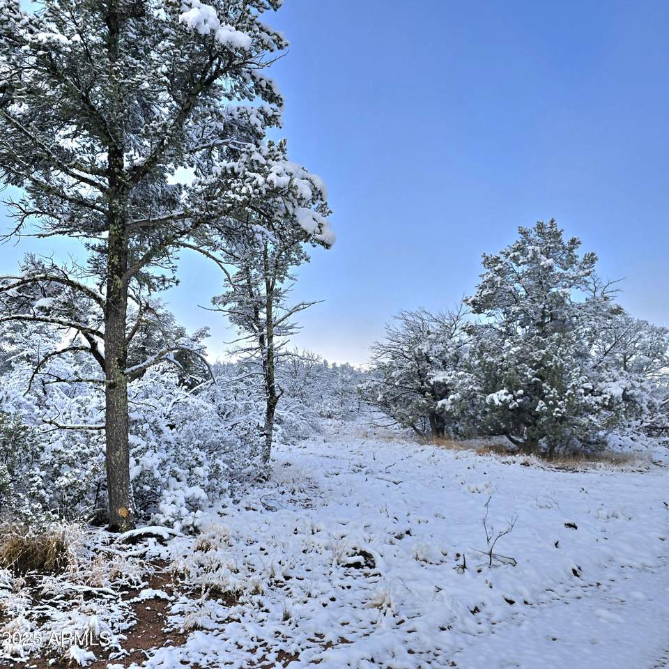 4H Ike Clark Parkway - Photo 1