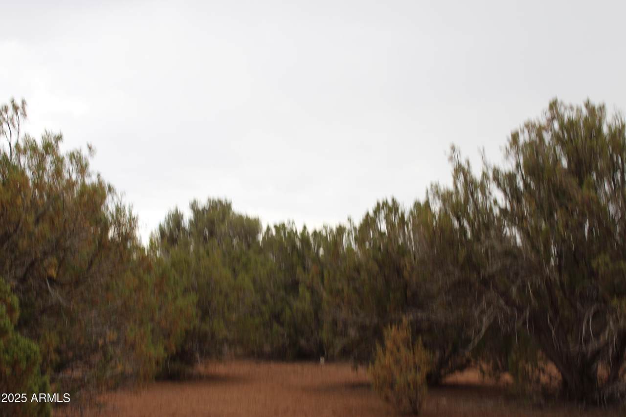 Sec 8 T11n, R22e: Port Of Parcel 3 - Photo 1