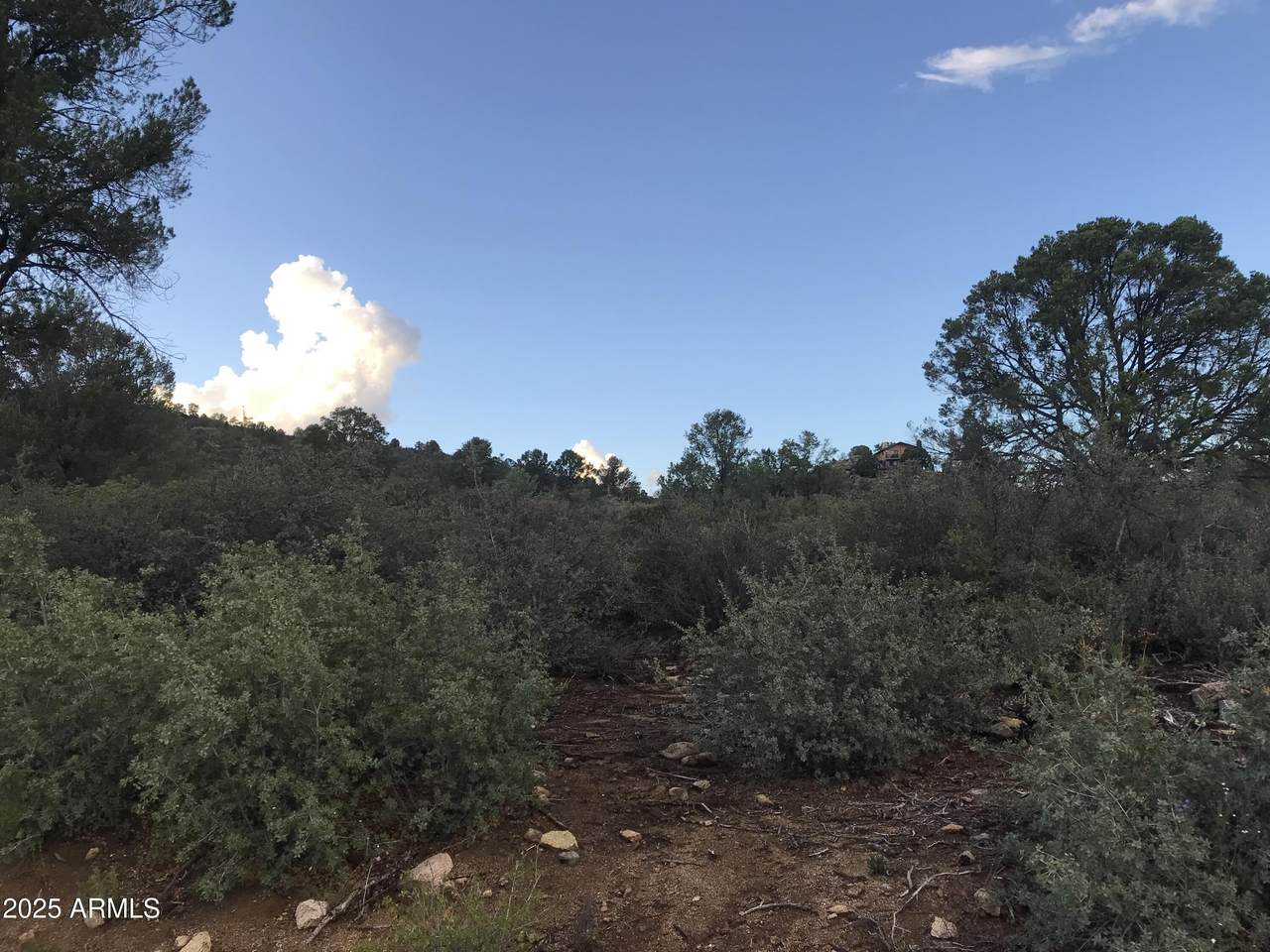 00000 Buckhorn - V Drive - Photo 1