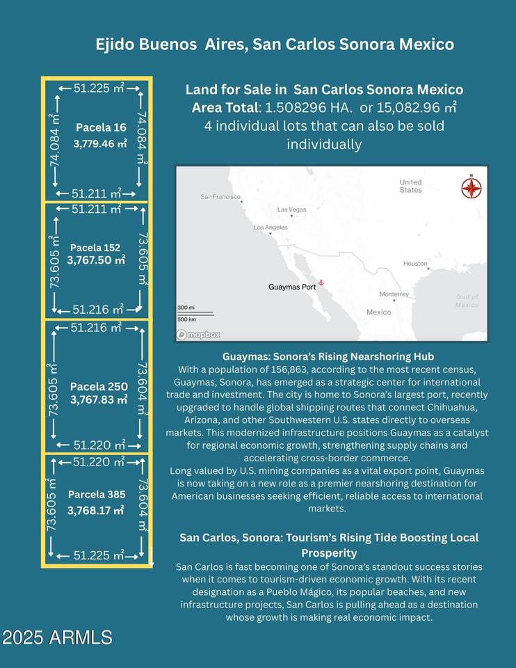 000 San Carlos - Photo 1