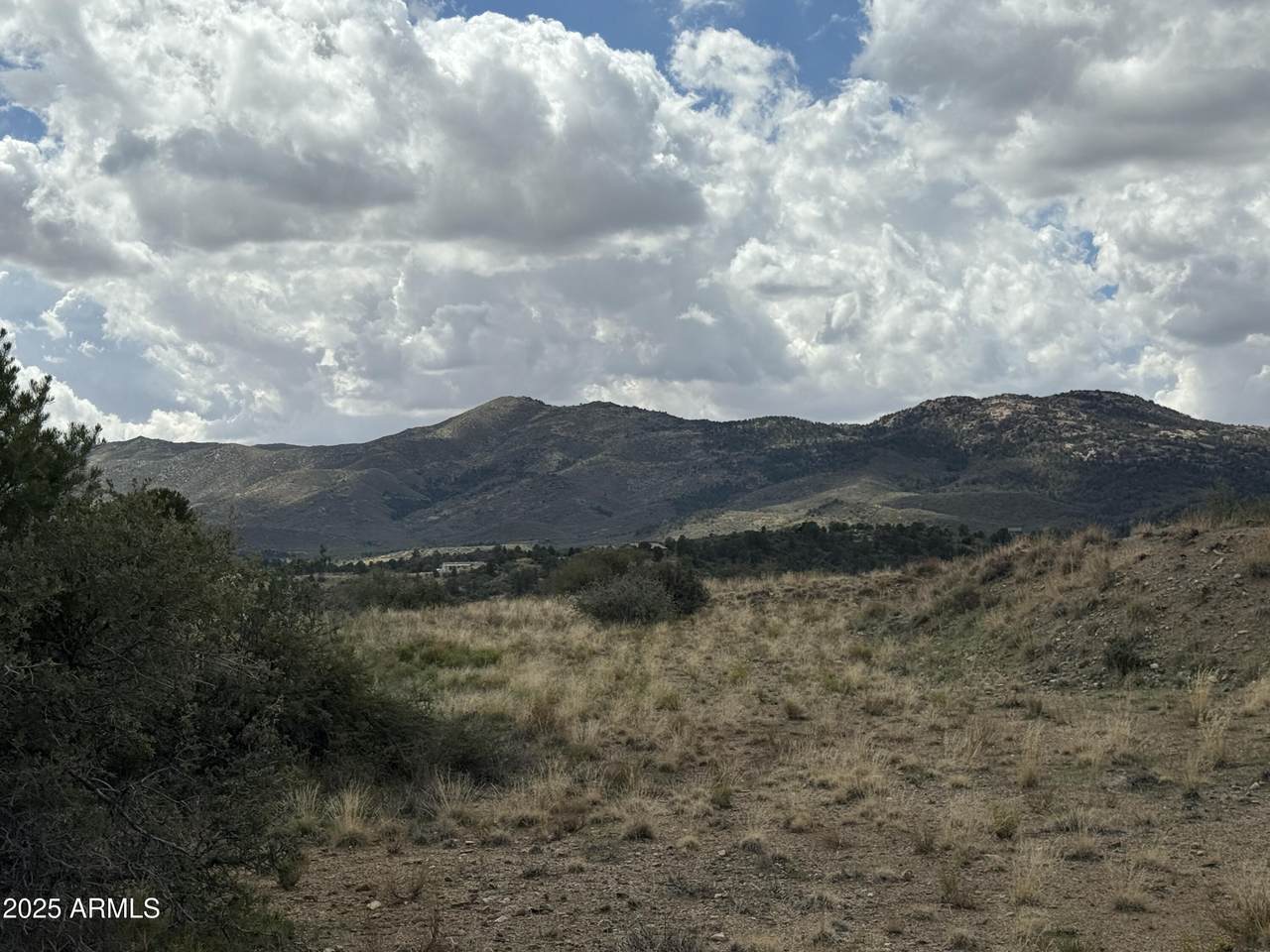 17850 Tawny Lane - Photo 1