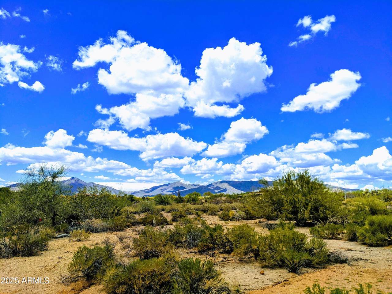 10201 Joy Ranch Road - Photo 1