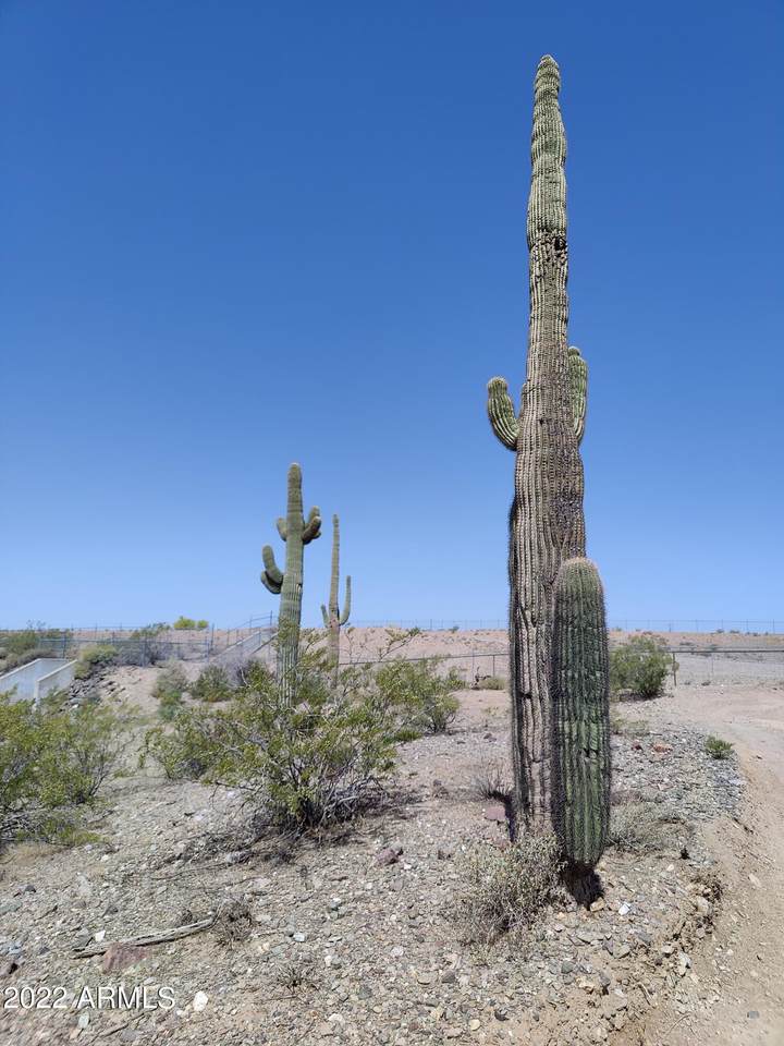 30825 155th Drive - Photo 1