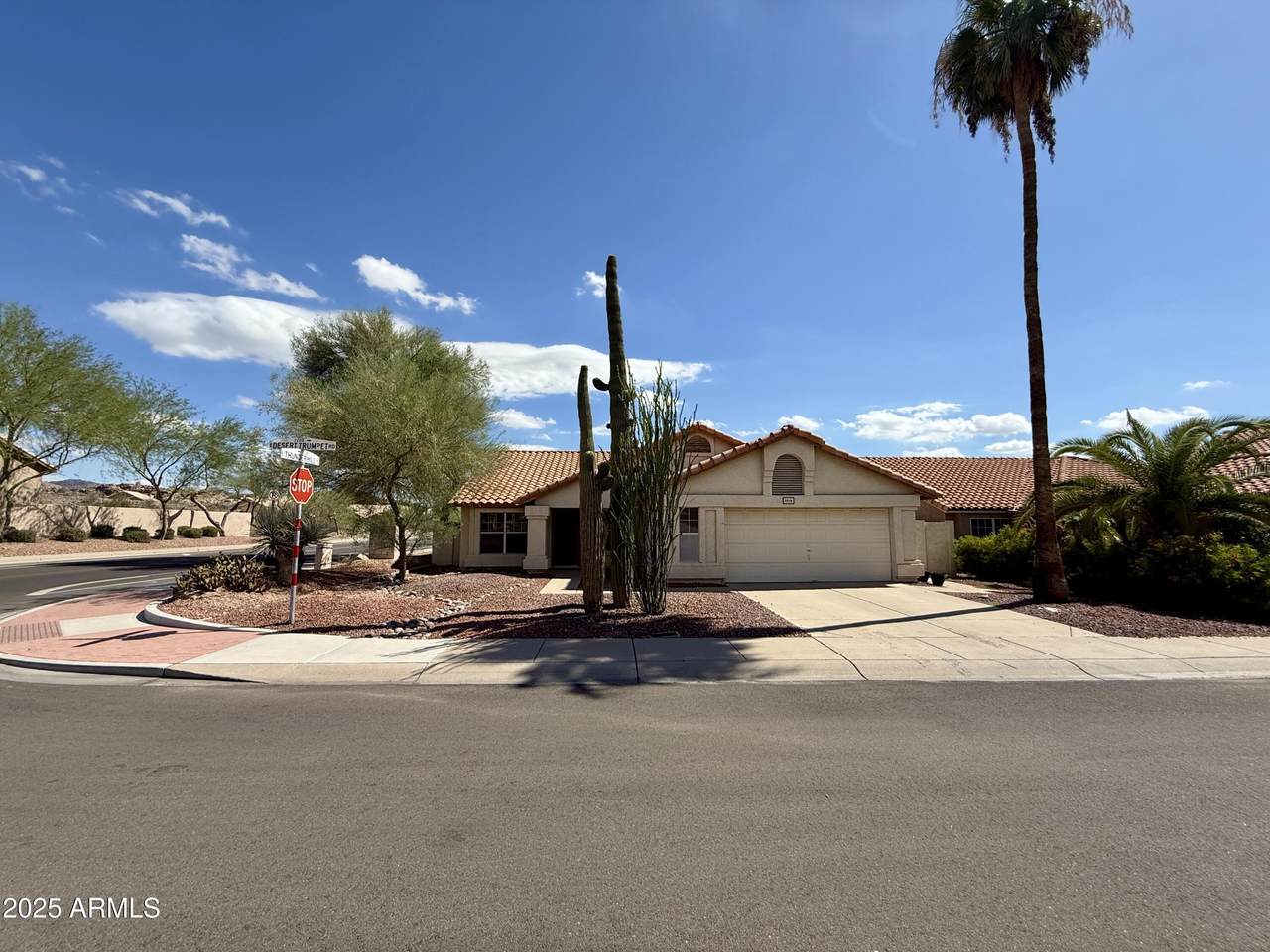 2218 Desert Trumpet Road - Photo 1