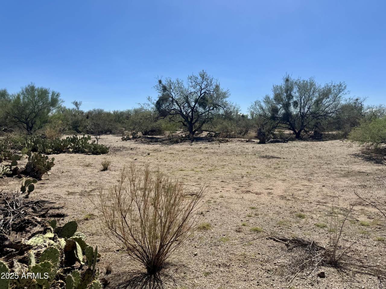 24XXXX Az-79 Road - Photo 1