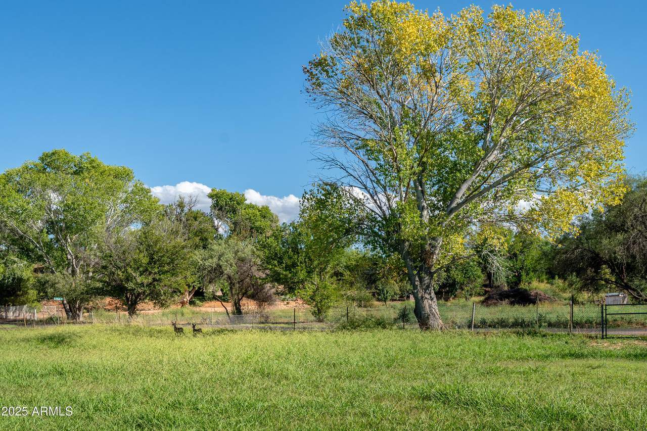 10881 Pear Tree Drive - Photo 1