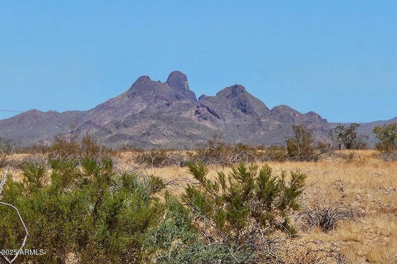 34380 Carefree Highway - Photo 1