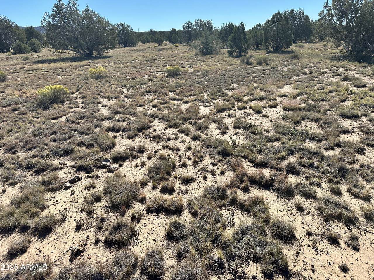 1381 Isabella Lane - Photo 1