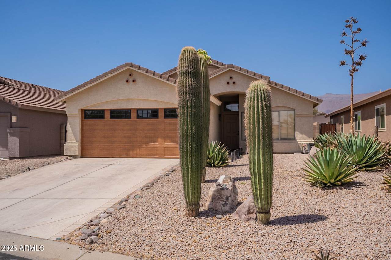 10346 Desert Dawn Drive - Photo 1
