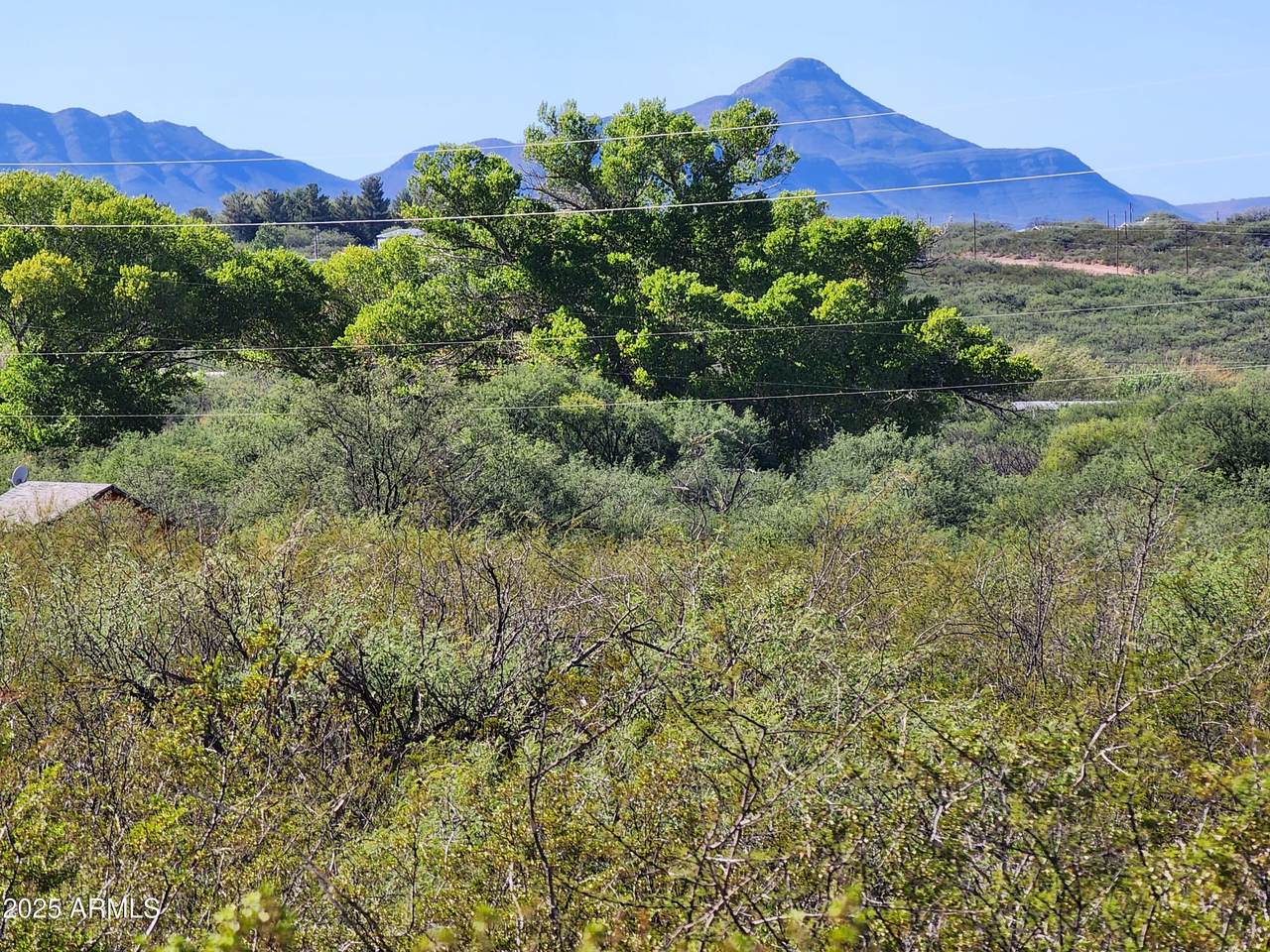 014c Willcox 014C Rd #5. - Photo 1