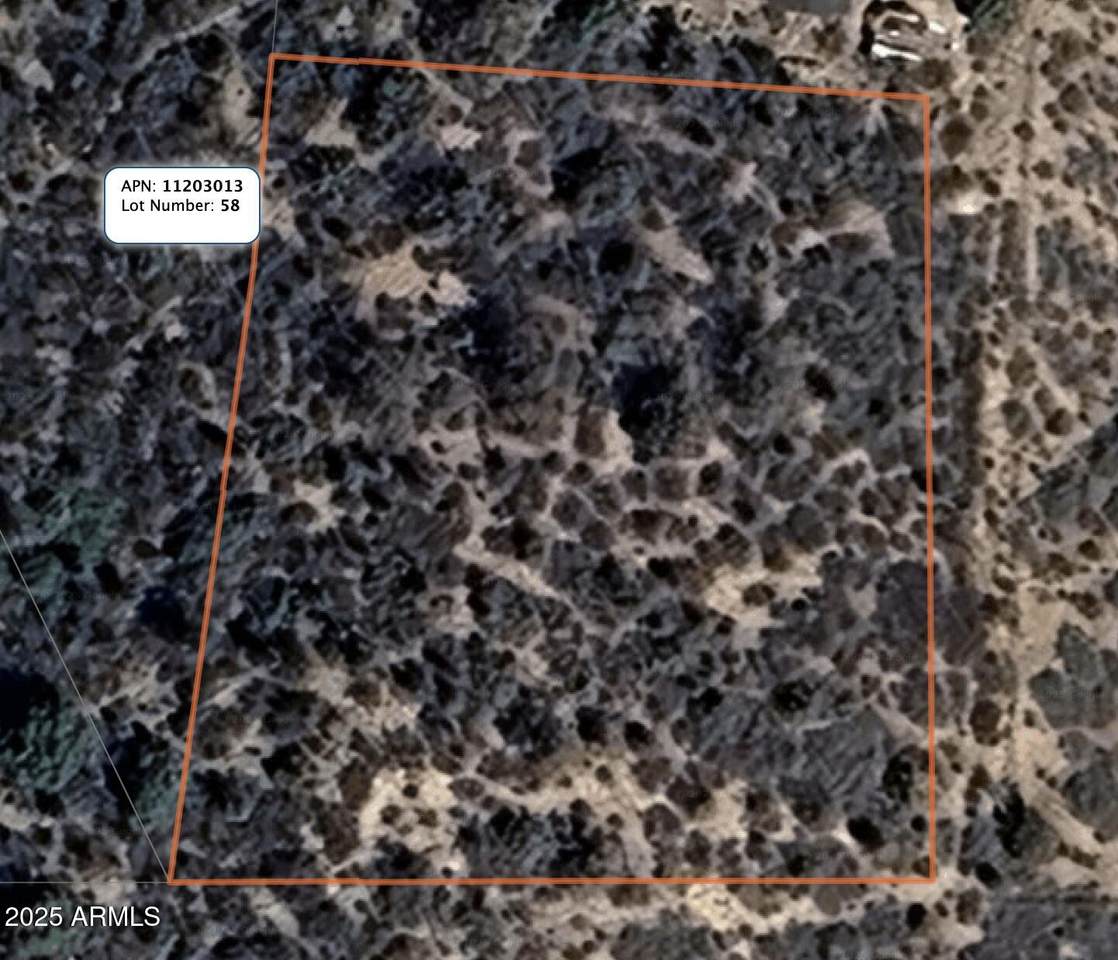 000 Canyon Drive - Photo 1